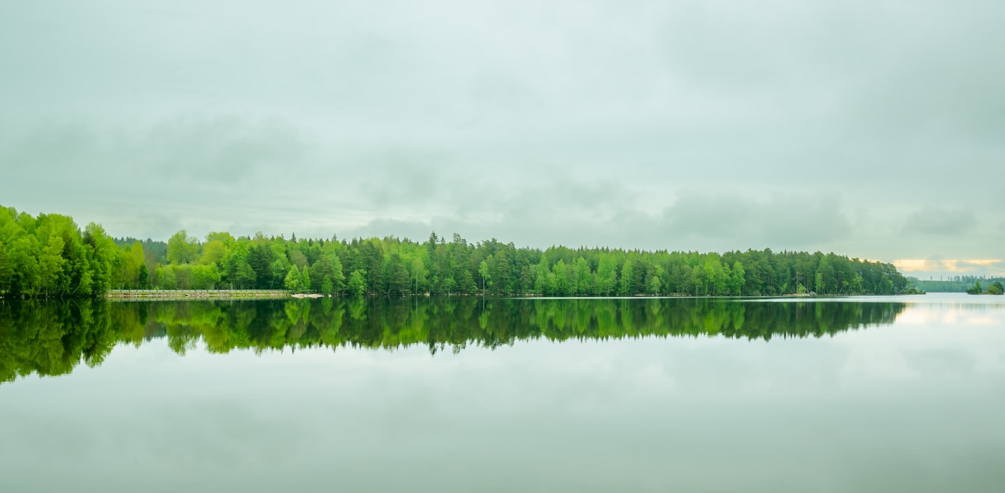 Bos weerspiegeld in stil water bij Ockelbo