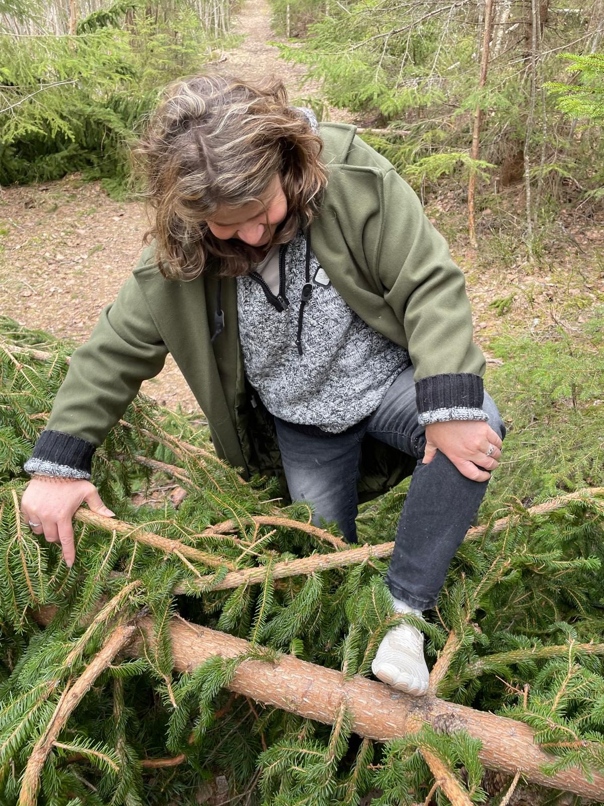 Marion stapt over een omgevallen spar in het bos bij Ockelbo