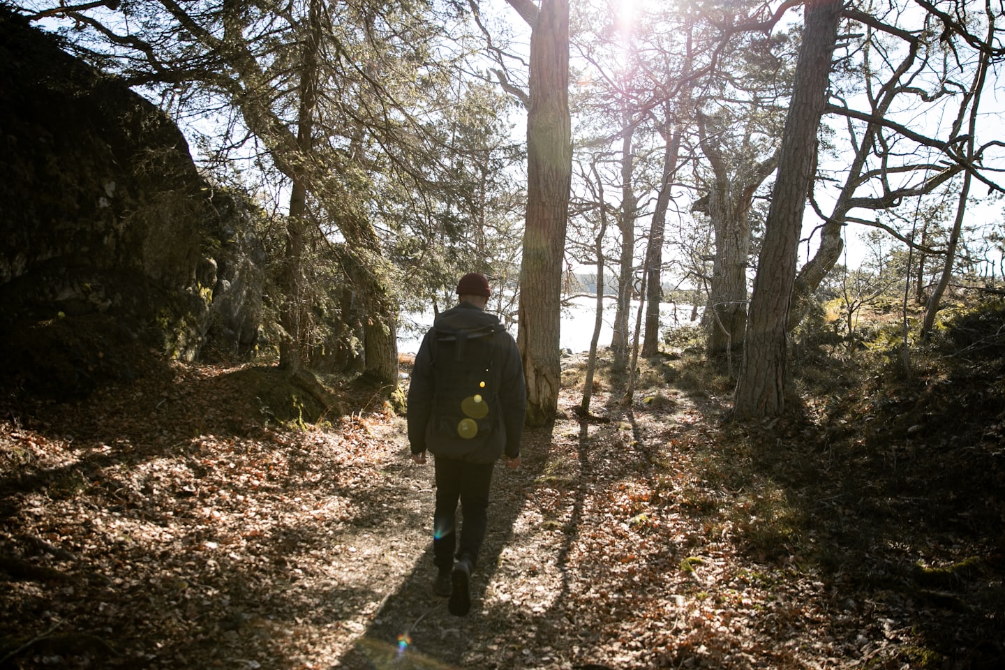 Wandelaar op een bospad in het bos bij Ockelbo