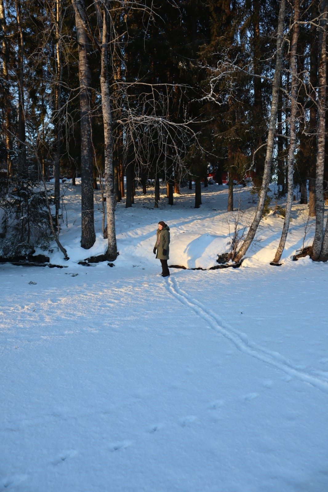 Wandelaar op een besneeuwd pad tussen de bomen bij Ockelbo